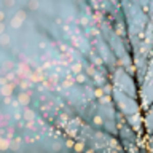 Meet your Posher, Krysti